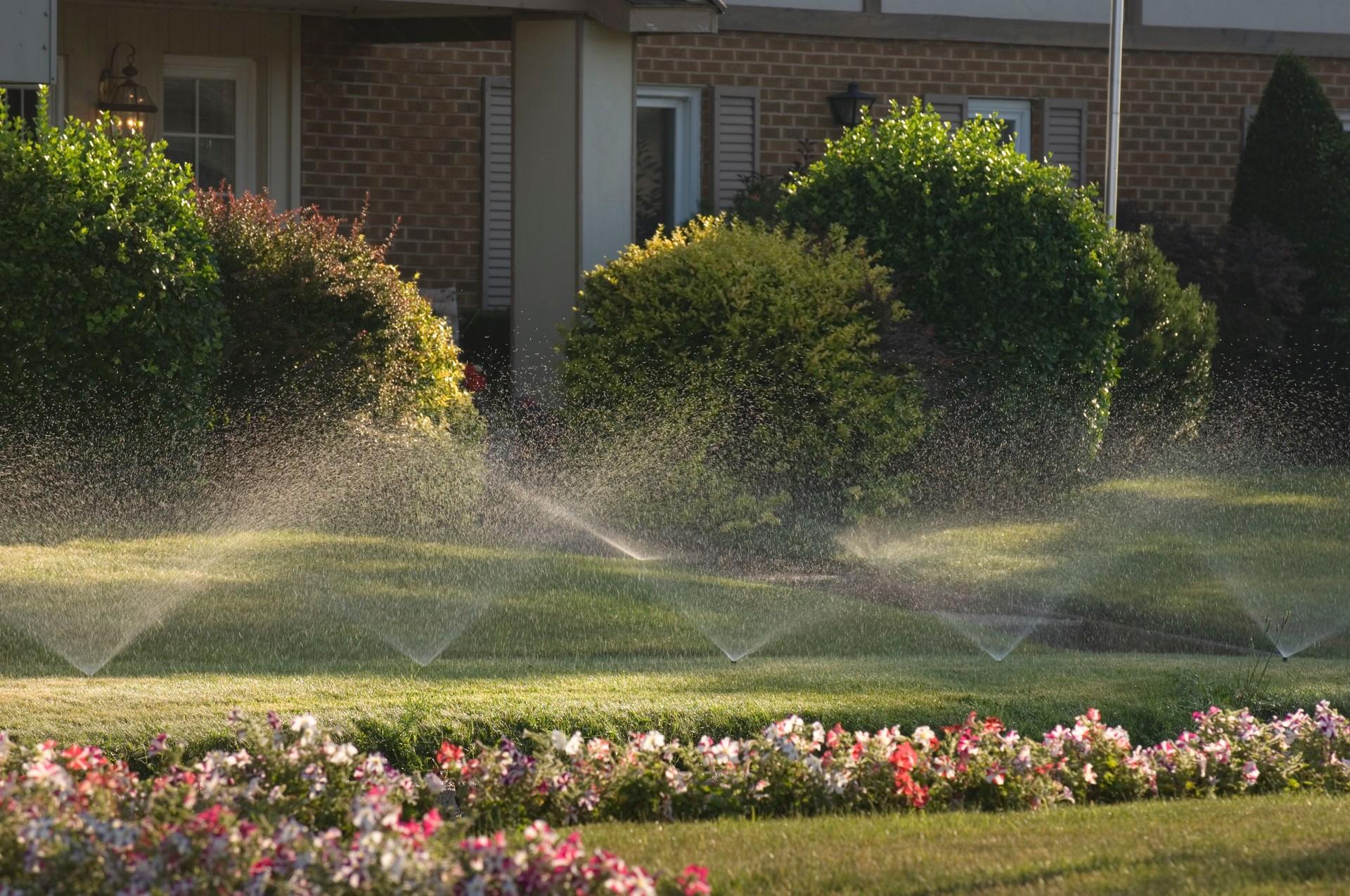 Sprinklers & Flowers