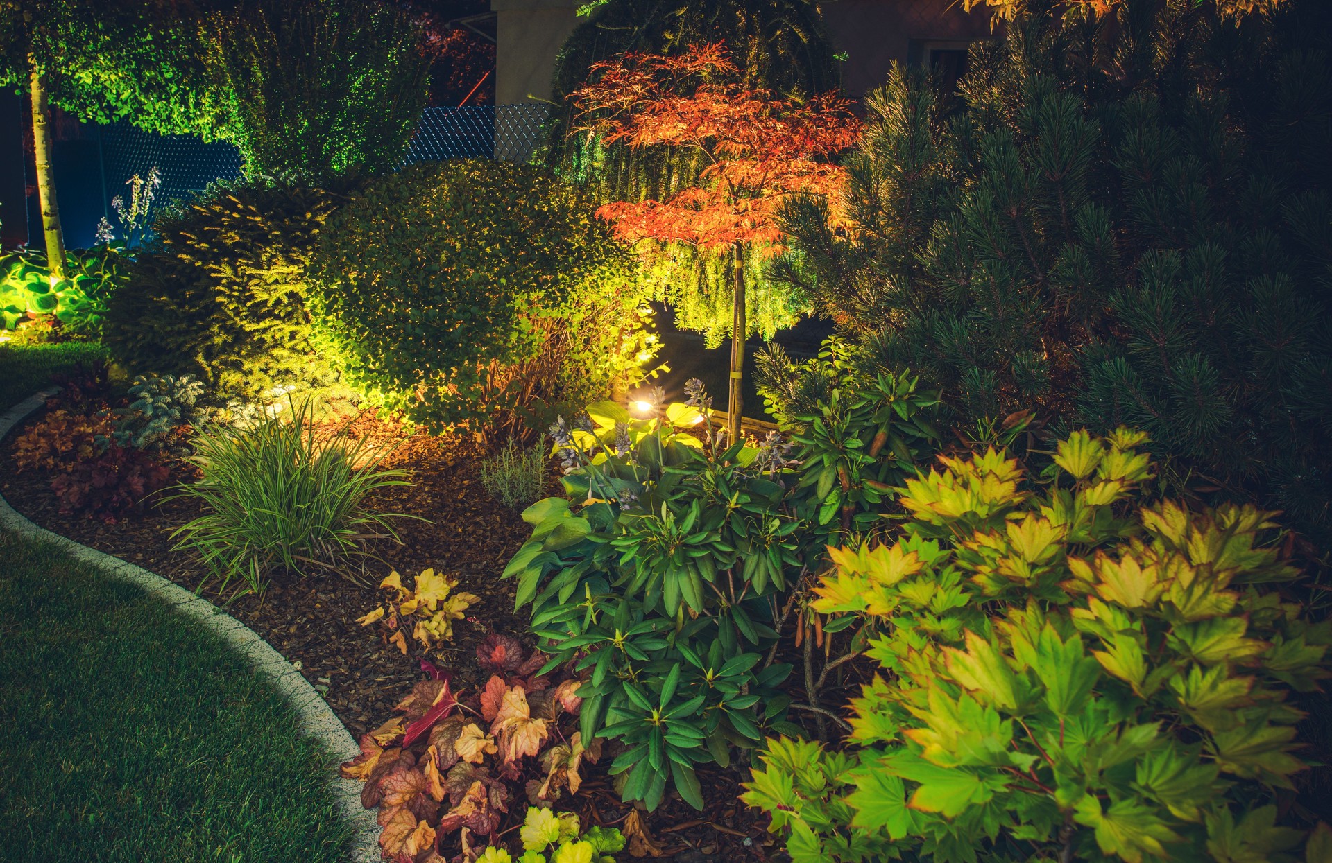 Beautifully Lit Garden With Vibrant Plants and Trees at Night in a Serene Setting