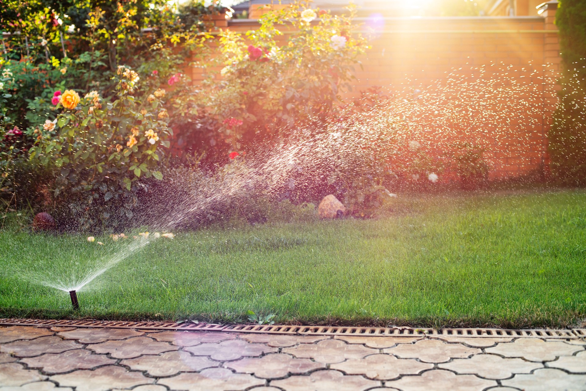 Green grass being watered with automatic sprinkler system sunny day